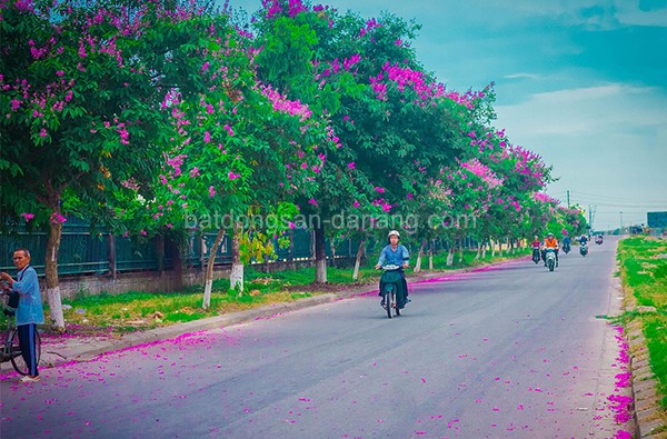 Mua bán nhà đất đường Bằng Lăng 4 Đà Nẵng
